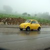 Bolognetta 2010 (45)
